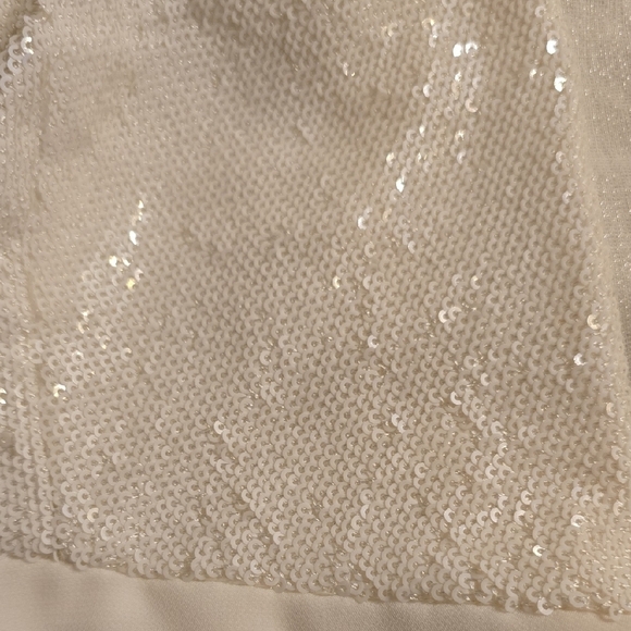 Halston Heritage Cream Slip Dress - Picture 14 of 14